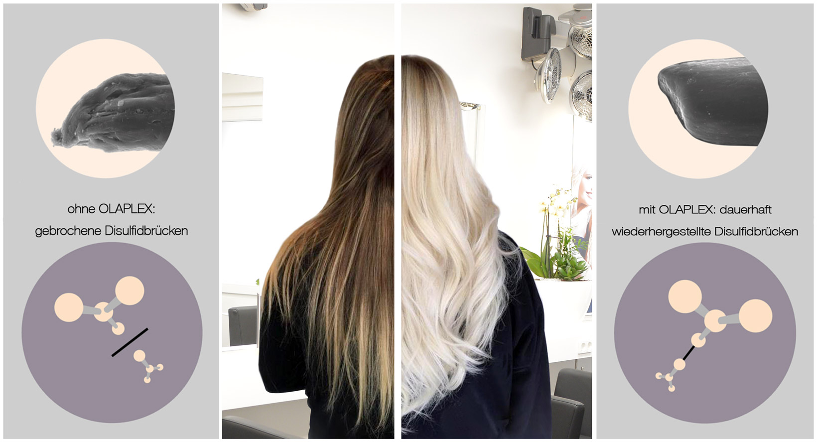 Olaplex gibt es bei Friseur Salon Hair by Specht im Main Kinzig Kreis in Ronneburg nahe Hanau und Frankfurt